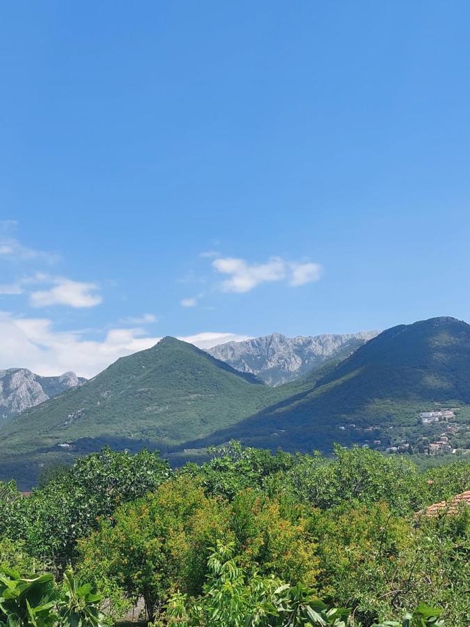 Danin Apartmani Bar Dış mekan fotoğraf